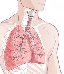 En an artery disease charactrized by a blockage of the main artery of the lung or one of its branches by a substance that has travelled from elsewhere in the body, e.g. Priznaky Plicni Embolie Ktere Mohou Naznacovat Ze Jste V Ohrozeni Vetsina Lidi Je Ignoruje Rychla Pomoc Je Nezbytna Svet Kreativity