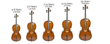 Size Guide For Violins Violas And Cellos Normans News