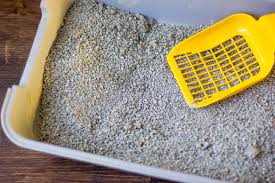 Cleaning Made Easy - Kitty Litter Cleanup (5 Terrific Ideas)