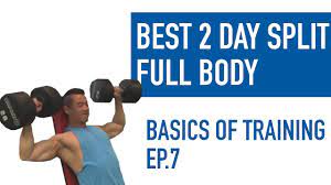 full body split to build muscle