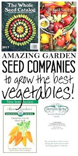Vegetable Garden Seed Bright Side Org