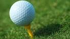 Fairfax National Golf Club Tee Times - Centreville VA