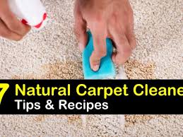 7 simple organic carpet cleaner recipes