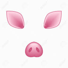 Pig Face Elements Ears And Nose Selfie Photo And Video Chart