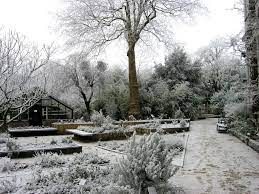 beautiful botanical gardens in winter