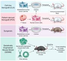 Contemporary Mouse Models In Glioma