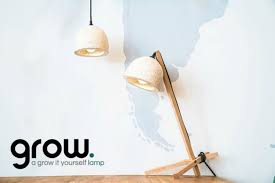 Grow Your Own Mushroom Lamp With This Brilliant Diy Kit