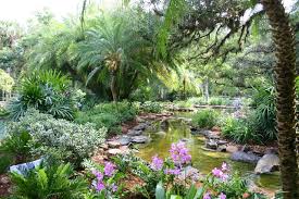 Natural Waterfall Tropical Gardens