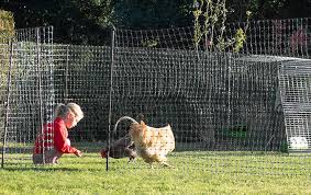 En Fencing Poultry Netting For