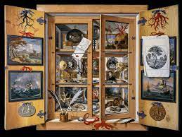 cabinet of curiosities a new book