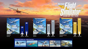 microsoft flight simulator game of the
