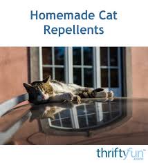 Apply the mixture to preferred outdoor areas. Homemade Cat Repellents Thriftyfun