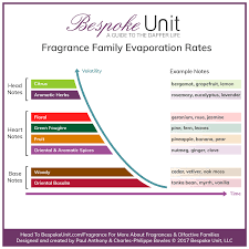 What Is The Perfume Pyramid Fragrance Composition Life