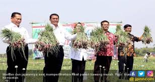 We wish you an enjoyable learning experience! Produk Hortikultura Indonesia Semakin Diminati Dunia Jpnn Com
