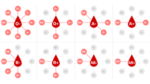 how to find out your blood type if you