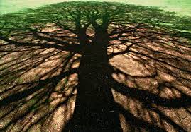 Image result for tree trunk shadows