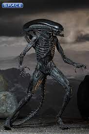 Ridley scott is helemaal terug met zijn nieuwste 'alien: Xenomorph Alien Covenant