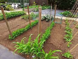 80 Vegetable Garden Ideas To Elevate