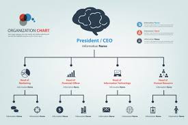 Modern And Smart Organization Chart In Vector Style Vector