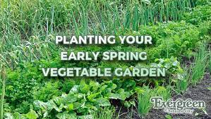 early spring vegetable garden