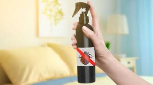 the 11 best bed bug spray of 2023 and