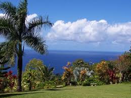 Find & book the best things to do in hawaii. Hana Fotos Besondere Hana Maui Bilder Tripadvisor