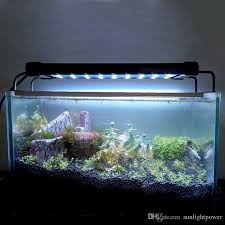 2020 Aquarium Light Fish Tank Epistar Smd Led Light Lamp 2 Mode White Blue Marine Aquarium Led Lighting From Sunlightpower 19 88 Dhgate Com