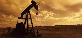 mineral rights worth in the Bakken Shale