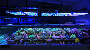 Led Lighting On A Reef Tank As The Primary Lighting Will Never Work Reef2reef Saltwater And Reef Aquarium Forum