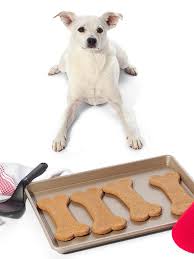 3 homemade dog treat recipes without