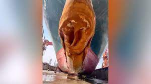 This Is The Damage Done To That Huge Container Ship That Clogged The Suez  Canal
