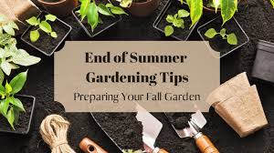 End Of Summer Gardening Tips Patuxent