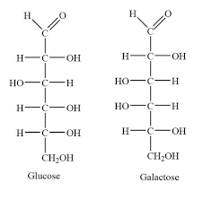 glucose and galactose have the same