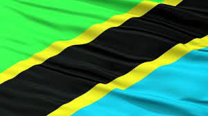 Image result for tanzania flag
