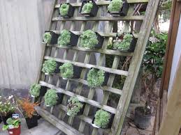 vertical gardens diy