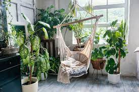 Indoor Vertical Gardening