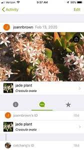 Technology Plant Id Apps Under The