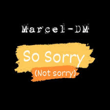so sorry not sorry instrumental
