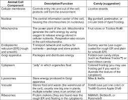 30 Correct Plant Cell Structures And Their Functions Chart