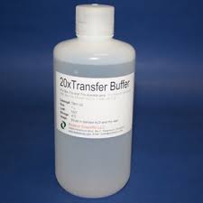 gel transfer buffers bioland