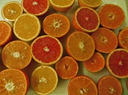 Uf Ifas Evaluating Cold Hardy Citrus Varieties For The