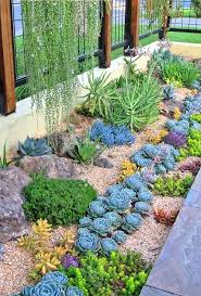 Outdoor Succulent Garden Ideas