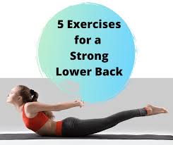 A flat back means your pelvis is tucked in and your lower back is straight instead of naturally curved a flat back also tends to make you lean your neck and head forwards, which can cause neck and. 5 Exercises For A Strong Lower Back Heart And Soul Blog