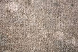 find prevent mold on persian rug