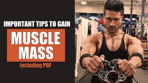 Important Tips To Gain Muscle Mass By Guru Mann Including Pdf