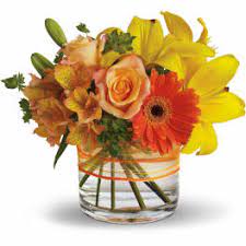 Dressage, endurance riding, general riding, workhorse breed: Sympathy And Funeral Flowers Delivery El Paso Diana S Flower Shop