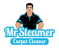 mr steamer carpet cleaner steam