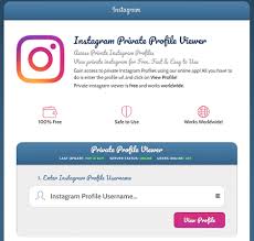 Insta looker without survey if you are looking for another way to view private instagram accounts without any human verification, then insta looker is one best options. How To View Instagram Private Accounts In 2021 No Surveys 9 Best Tools
