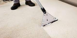 things to know before you hire a carpet
