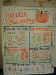 Pumpkin Investigation Anchor Chart How Bout A Little